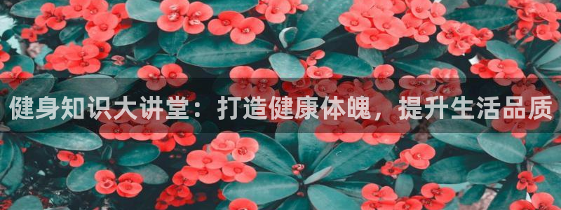 qy千亿球友会app下载