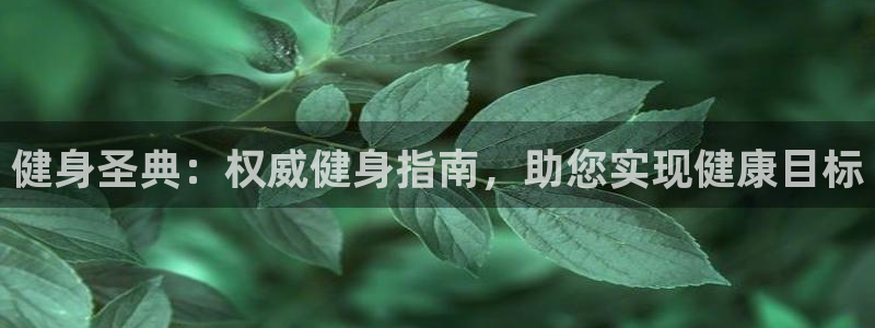 球友会·(QY)官方网站